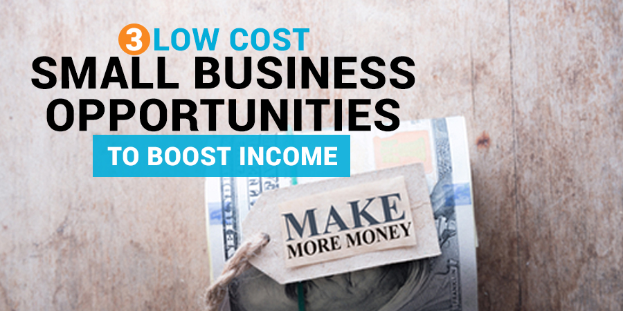 Low Cost Small Business Opportunities